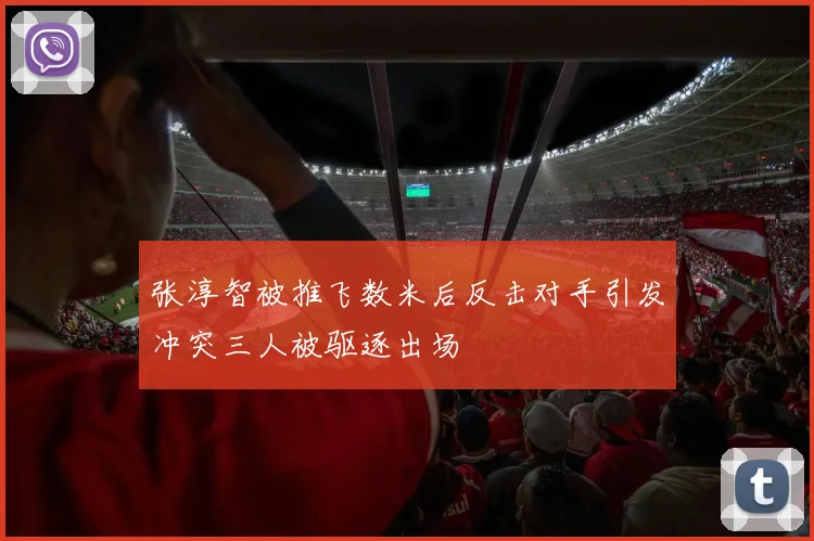 张淳智被推飞数米后反击对手引发冲突三人被驱逐出场