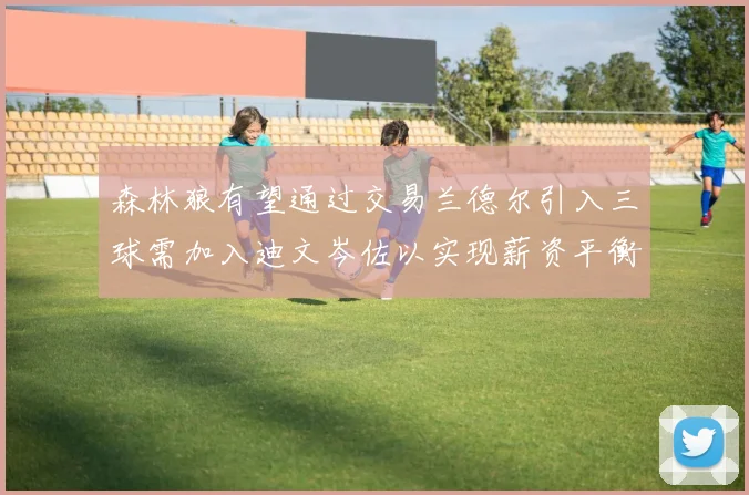 森林狼有望通过交易兰德尔引入三球需加入迪文岑佐以实现薪资平衡